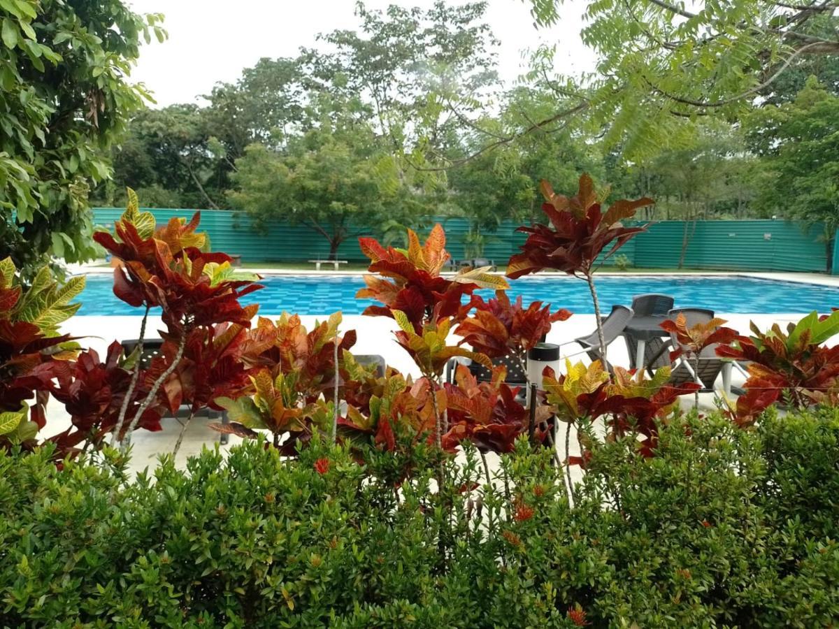 Apartment - Altagracia *